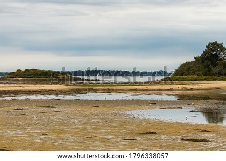 Brittany, panorama of the Morbihan gulf, view from the Ile aux Moines, small island at low tide