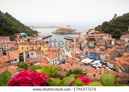 Top view of Cudillero village in Asturias. Red flowers on the foreground.