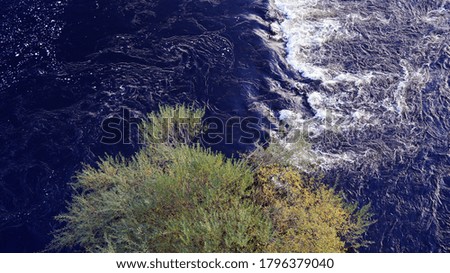 Aerial view close up of a river with rapids and a tree in leaf, calm water white water                               