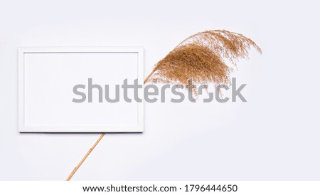 Summer composition. White wooden frame with empty space for text. Layout with dried grass. Everything is arranged on a white background. Flat top view.