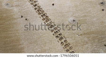 A shot of a dirt bike tire track that run along a sand beach, backgrounds / textures.