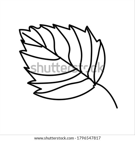 Autumn line art linden leaf. Hello autumn concept. Suitable for collage, postcards, stickers, posters, stamps, logos, labels and more. Modern hand-drawn Vector illustration isolated on white.