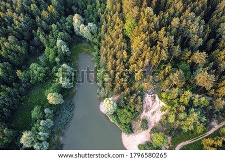 Summer landscape - lakeside and green forest with tree tops and lake, aerial view. European nature.