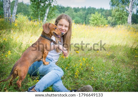 In summer, on a field on a bright sunny day, a girl walks with her dachshund dog. They are happy.