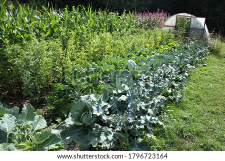 Natural permaculture vegetable garden for a self-sustaining family Royalty-Free Stock Photo #1796723164