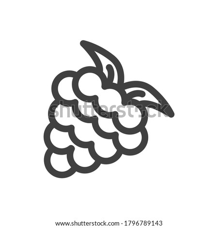 Grapes icon. A bunch of grapes. Simple minimalistic image. Isolated vector on white background.