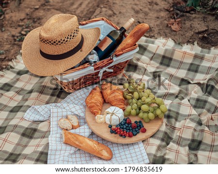 Picnic in the village style with grapes, cheese and wine on the plaid in a cage.