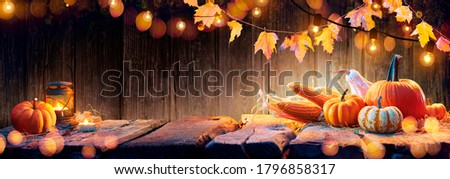  Thanksgiving Table - Pumpkins And Corncobs On Wooden Plank With Garlands
