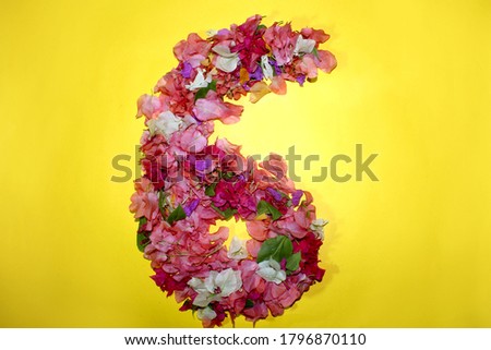 flower numeric number six, 6 digit, made from colorful bougainvillea flowers, wonderful flora letters for unique spring decorations  on yellow background