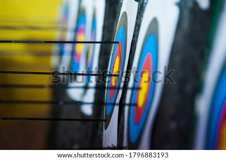 Archery. Arrows in archery target on archery range Royalty-Free Stock Photo #1796883193