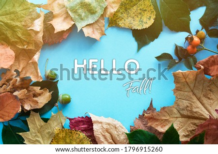 Hello Fall autumn decor Poster card	