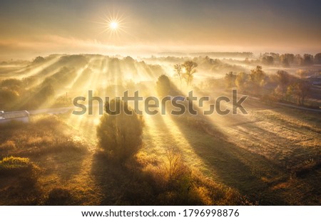 Aerial view of village in fog with golden sunbeams at sunrise in autumn. Beautiful rural landscape with road, buildings, foggy colorful trees, church, orange sky with sun. Fall in Ukraine. Top view Royalty-Free Stock Photo #1796998876