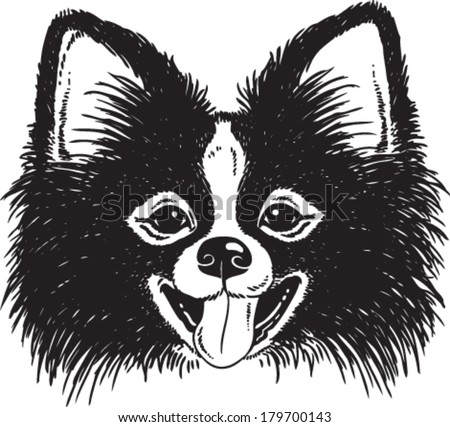Black and white vector sketch of a fluffy Toy Pomeranian's dog's face