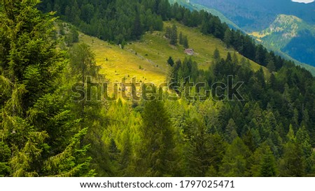 Lake Trona in Italy, August 2020: Beautiful alpine slopes covered with conifers. Activity tracking. Tourism and cardio. Boys and girls on mountain peaks. Fresh air. Sunday. Nature and forest