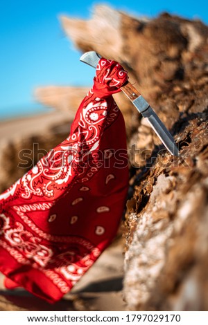 Knife and red bandana on a tree moved by the wind in the dessert