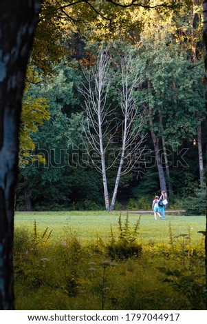 View of a beautiful clearing in the forest, surrounded by colorful trees and plants, through which a mother and daughter walk, heading to the dying standing alone tree. Autumn in the Park, background.