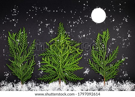 Green Chrristmas tree made of coniferous tree branches on a dark background. Minimal composition background. New Year and Christmas concept.