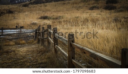 Backyard Split Fence with perspective View on Hillside