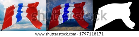 Flag of Omsk Oblast. High resolution close-up 3D illustration. Flags of the federal subjects of Russia. Set of 2 flags and alpha matte image. Very high quality mask.