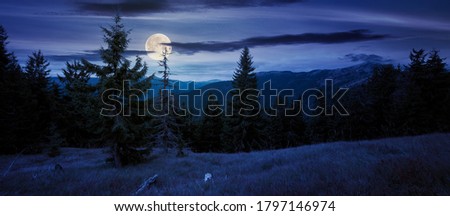 spruce forest on the hillside meadow at night. colorful grass in autumn. hills rolling in to the distance in full moon light. cloudy day