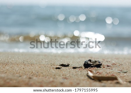 Close-up of sand on the beach and water of the Bolshoye Yarovoe salt lake (Altai Territory).