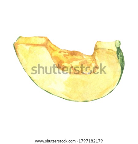 Watercolor cut section of pumpkin isolated on white. Autumn harvest of squash. Ingredient for recipe of Thanksgiving meals. Hand drawn illustration for Halloween design. Vegetarian raw food.