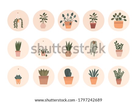 Instagram highlight covers. Insta story covers. Plants icons. House plants flat icons. Vector. Royalty-Free Stock Photo #1797242689