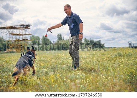 Smiling professional dog trainer playing with detection dog outdoors in grassy field