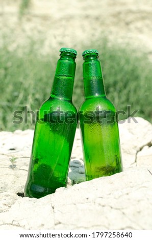 Vertical image.Two green bottle of beer on the rocks against plant.Hot day and cold drinks