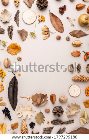 Creative frame of colorful autumn leaves. Flat lay. Season fall concept.  Frame made of dry leaves on pastel  background. Flat lay, top view, copy space.
