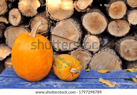 Orange Pumpkin Wooden Autumn Background Composition Pumpkin Place Your Text
