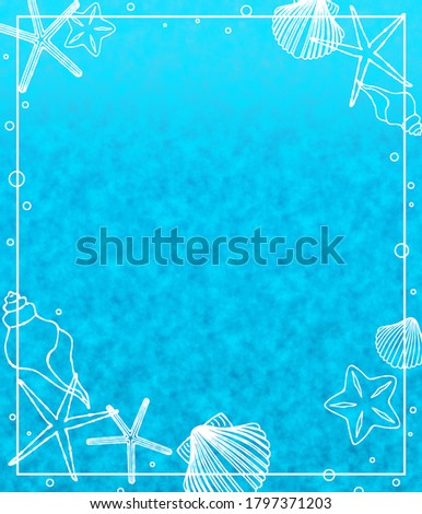 frame of shells and starfishes on water surface