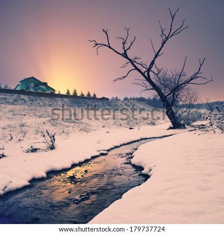 Vintage picture. Night winter landscape with a lonely tree near creek in moonlight 