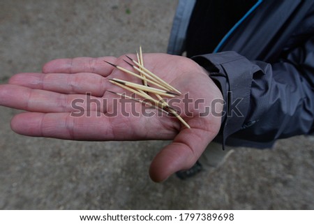 Porcupine Quills from Glacier Bay National Park