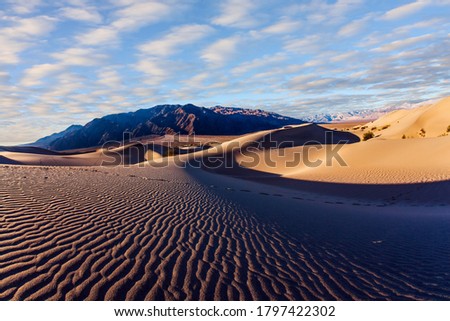 Light sand waves from the desert wind. Magic play of light on the sand. Mesquite Flat Sand Dunes is part of Death Valley in California. USA. The concept of ecological and photo tourism
