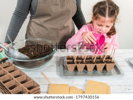 Little girl planting seeds into peat moss pots to start an indoor vegetable garden.