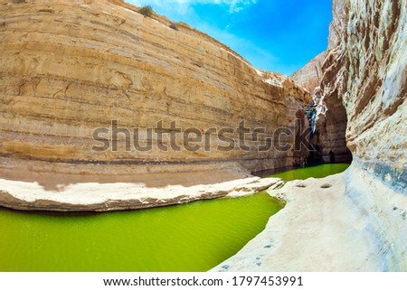 Picturesque waterfall in the middle of the Negev desert. The greenish water of a small lake. The gorge Ein Avdat is formed by the Qing River. Israel. The concept of active and photo tourism