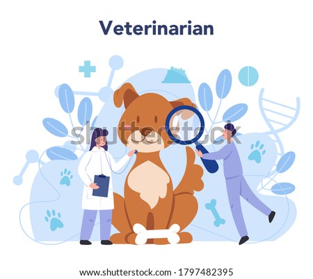 Pet veterinarian concept. Veterinary doctor checking animal. Idea of pet care. Medical treatment and healthcare. Vector flat illustration