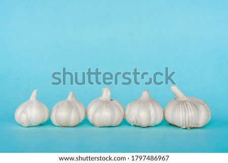 Group of fresh garlic heads on blue background in a row. Close up stock photos