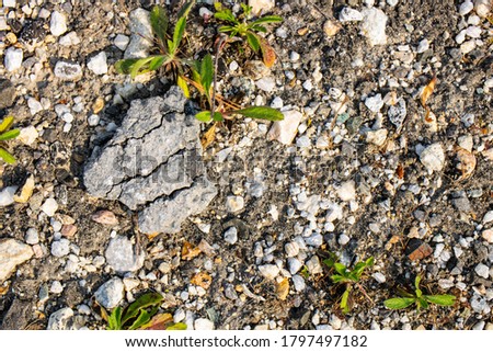 Round stone floor background, background with stones on the floor, floor background with stones,