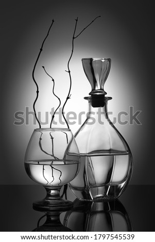Stylish, modern monochrome still life with glass objects (a round bottle and a wine glass).