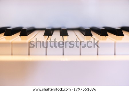 Piano keyboard banner, front view of instrument musical tool.