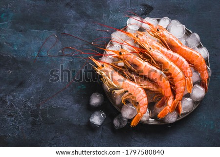 Red Argentine shrimps ocean jumbo shrimps copy space. Royalty-Free Stock Photo #1797580840