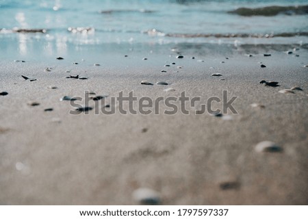blurry North Sea background with water in the background and sand with shells in the foreground