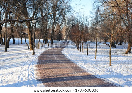 winding cobblestone road in a winter snow-covered park