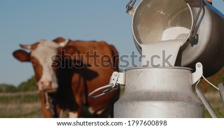 Farmer pours milk into can, in the background of a meadow with a cow Royalty-Free Stock Photo #1797600898