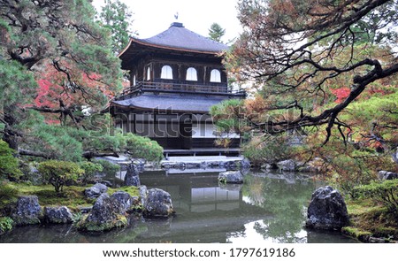 Breathtaking view on old traditional temple in japan garden during autumn season. High quality photo