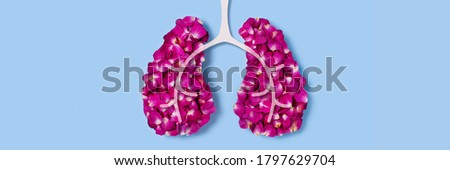 Rose petals in the shape of the lungs. Web banner with a blue background. Concept picture.