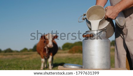 Farmer pours milk into can, in the background of a meadow with a cow Royalty-Free Stock Photo #1797631399
