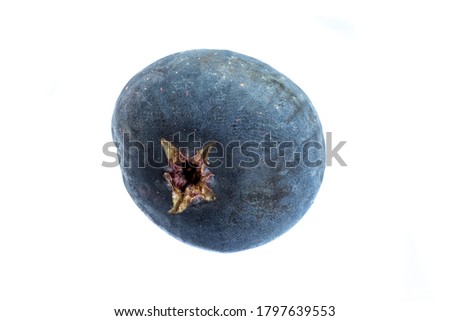 Fig blue color cut out isolated on a white background